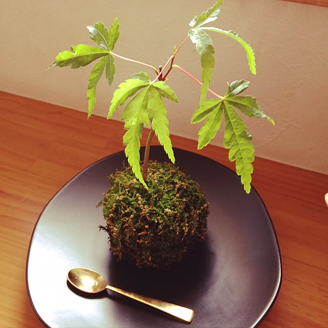 noriさんの実例写真