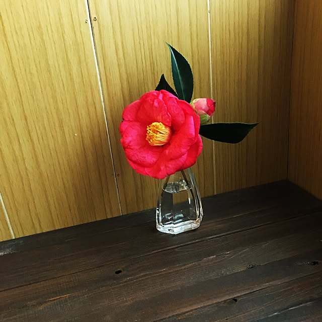 kabuさんの実例写真