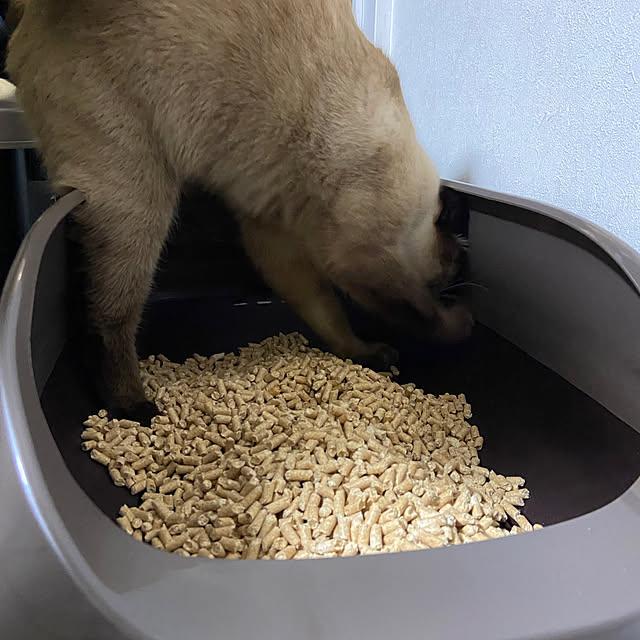 arashi530さんの部屋