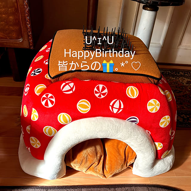 vol.3857写真