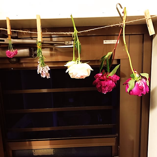 morphoさんの実例写真