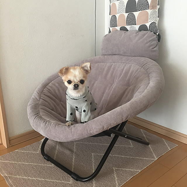 haritakaさんの実例写真