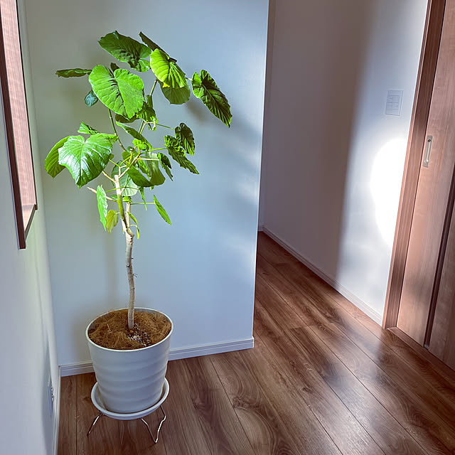 seiさんの部屋