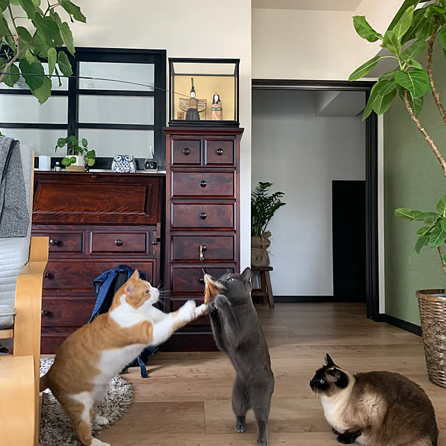 73さんの実例写真
