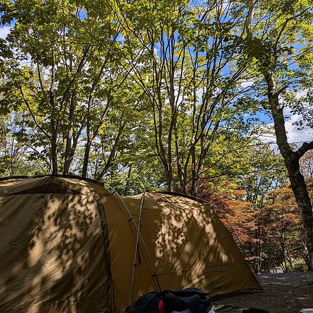 marronさんの部屋