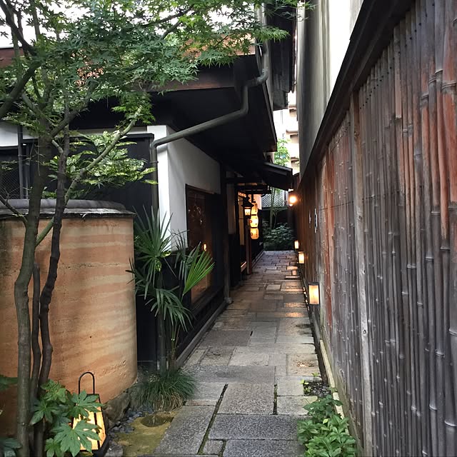 玄関/入り口/自然の恵みのインテリア実例 - 2017-07-15 23:15:39