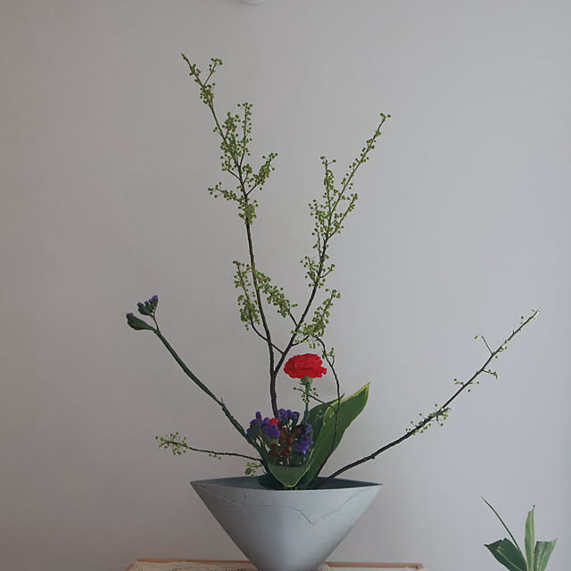 Summerさんの実例写真