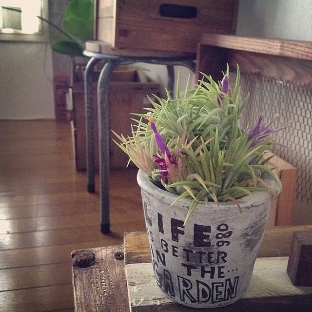 studio-fleurさんの実例写真