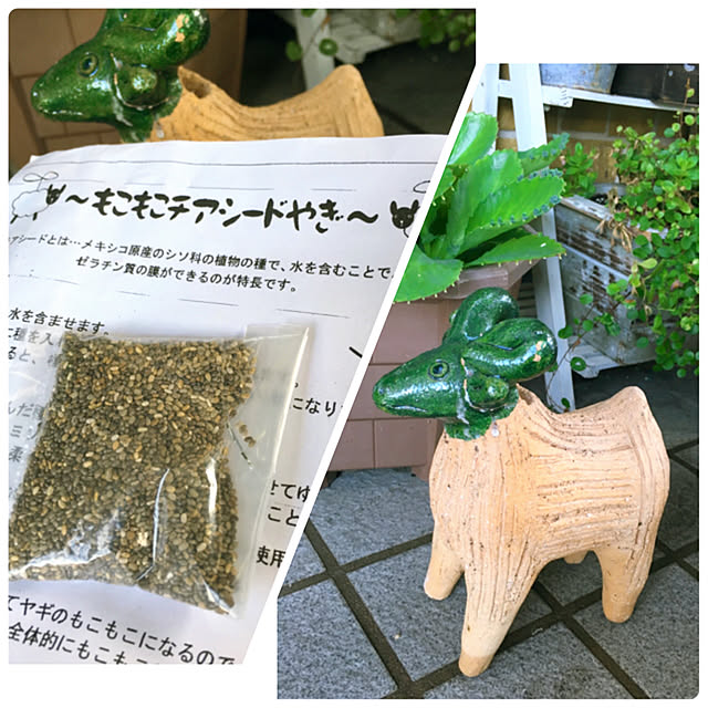 cactus0610さんの実例写真