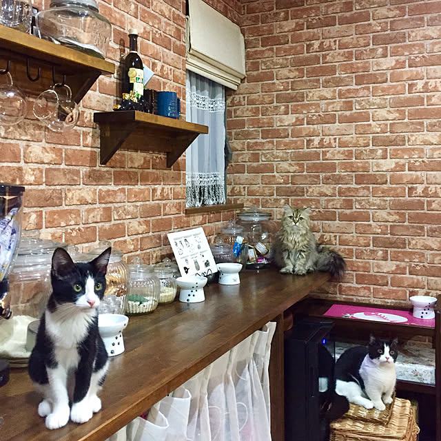 butachanさんの実例写真