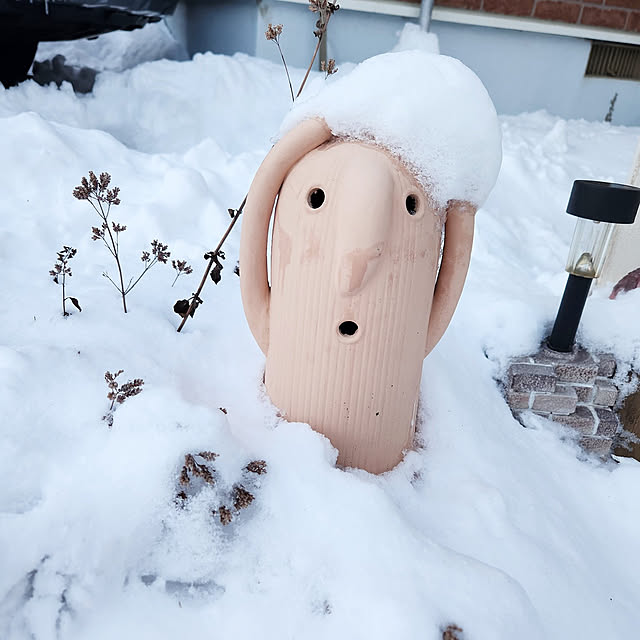 kawaiiouchi-labo.akiさんの実例写真