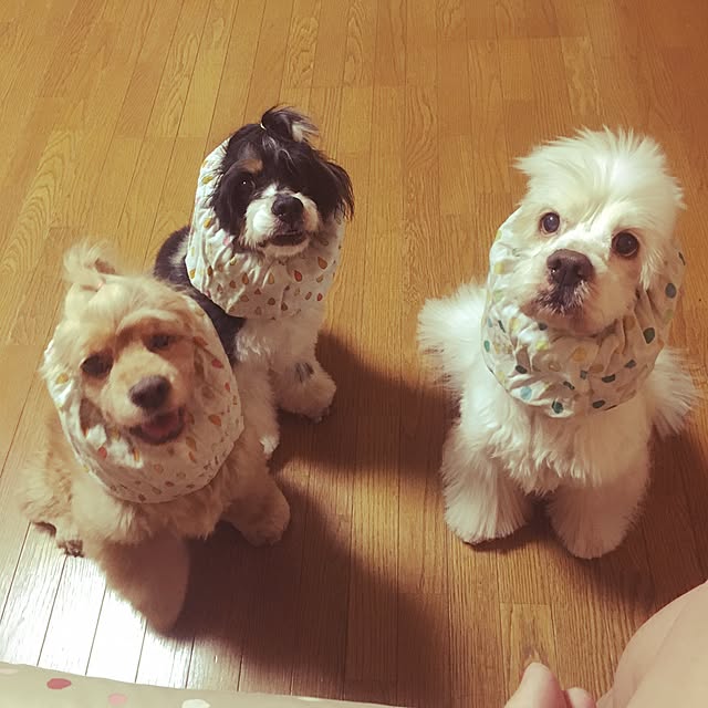 Mikiさんの実例写真