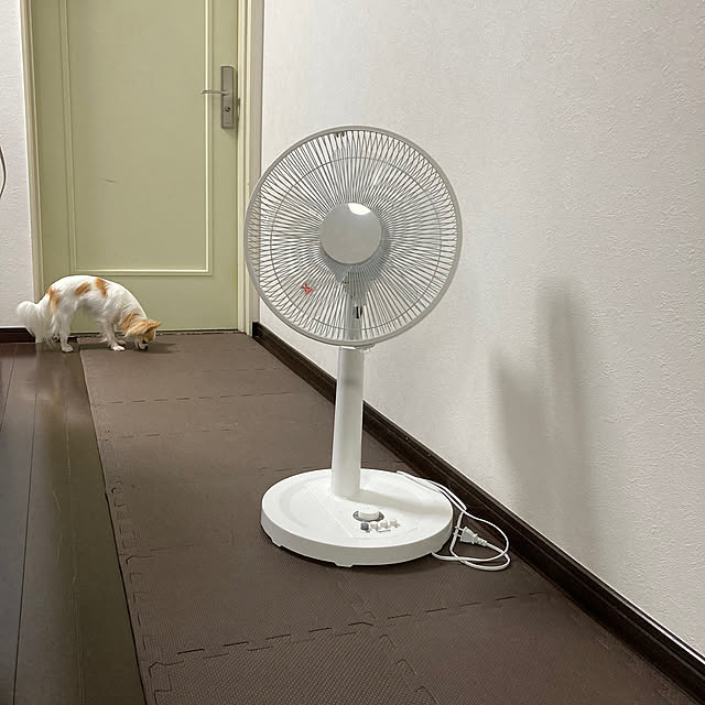 toratanさんの実例写真