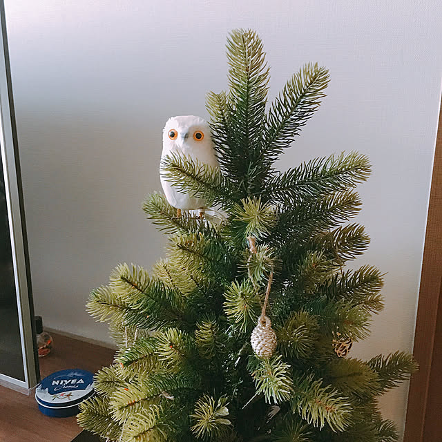 walkeyさんの実例写真