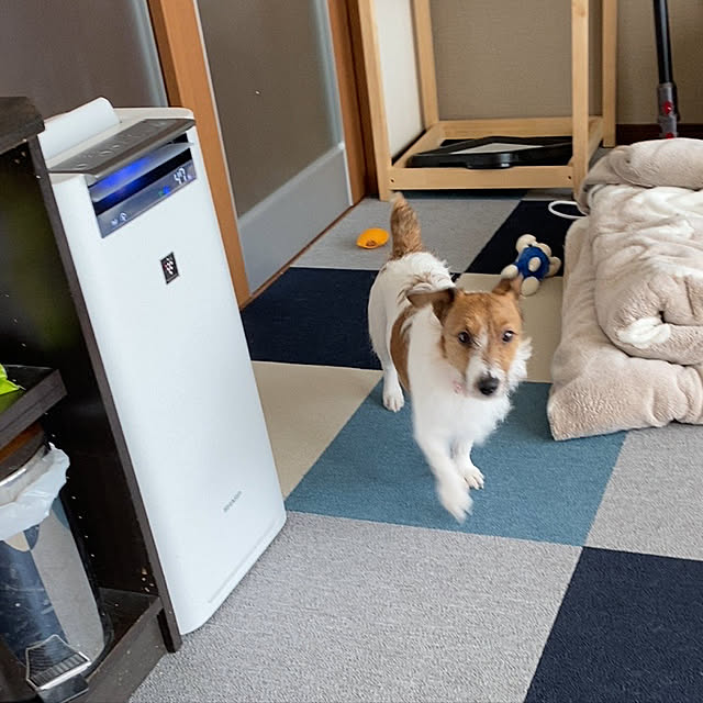 naoさんの実例写真