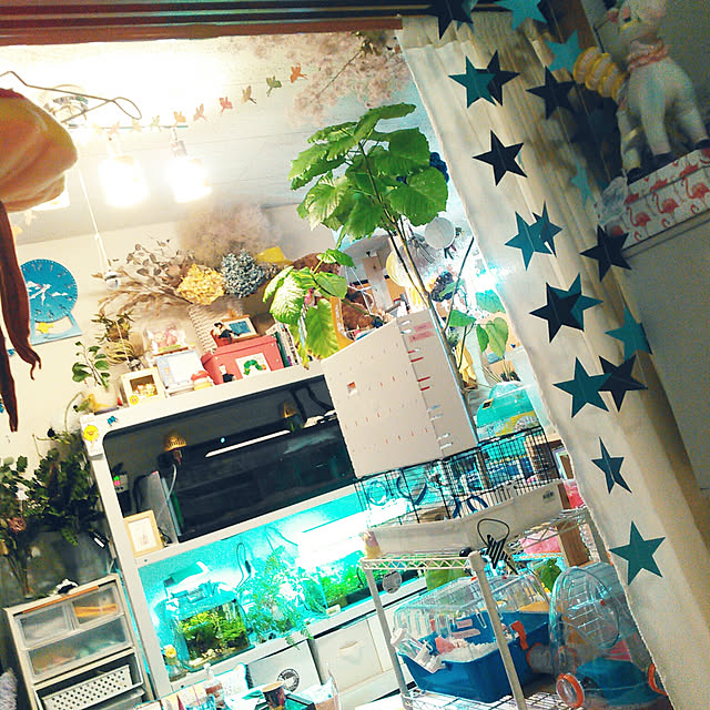 pochi3461さんの実例写真