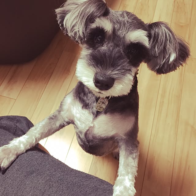 tamaeさんの実例写真