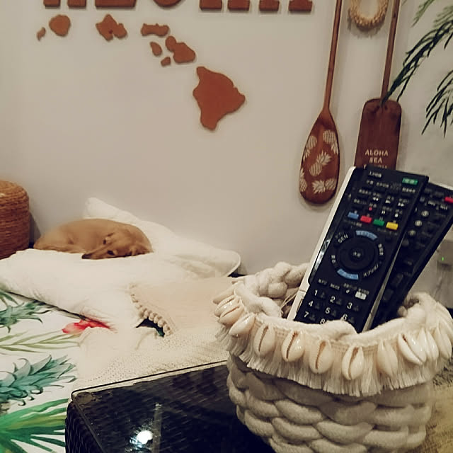 cocosorasakuさんの実例写真