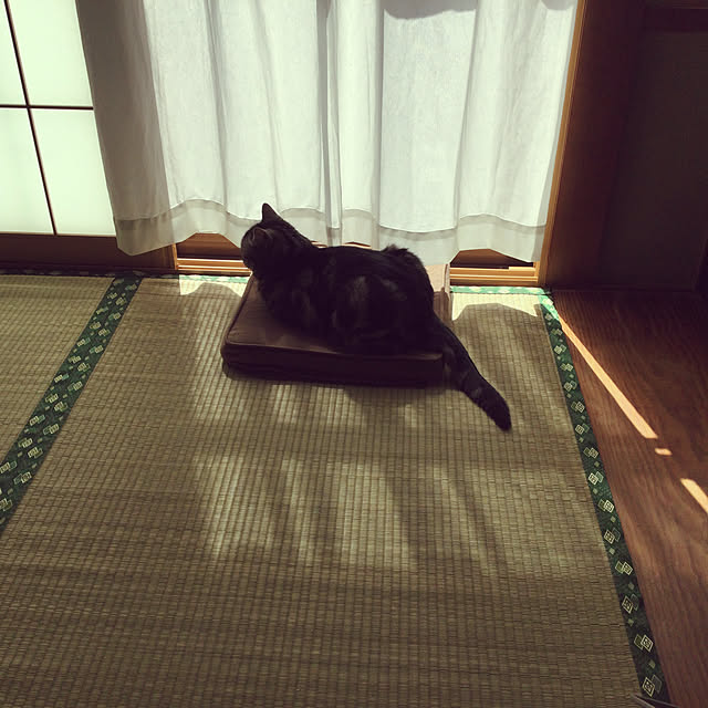 richanさんの実例写真