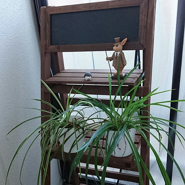 Reikomさんの実例写真