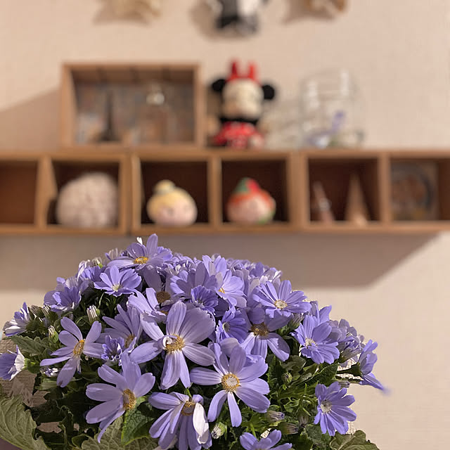 amelie1259さんの実例写真