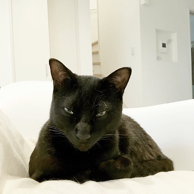 Kaoさんの実例写真