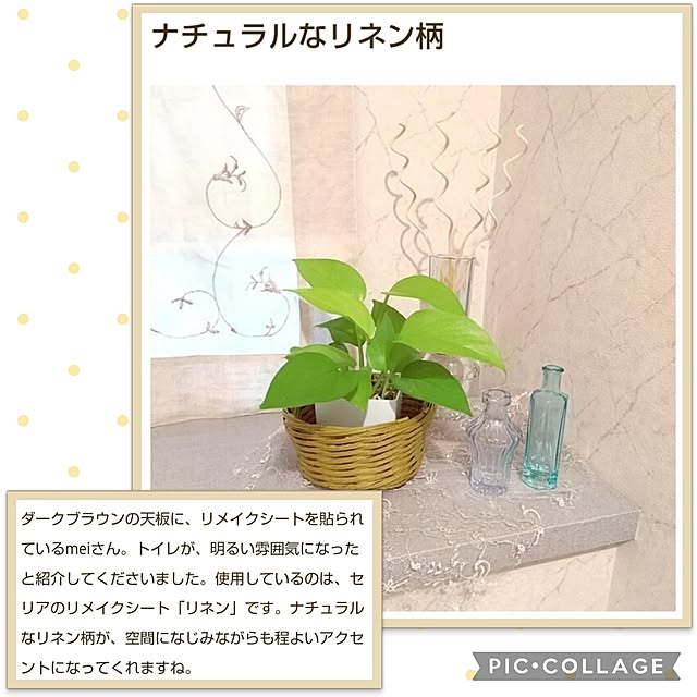 meiさんの実例写真