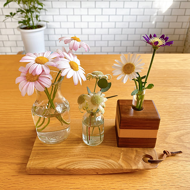 一輪挿し/植物/シンプル/花のある暮らし/植物のある暮らし...などのインテリア実例 - 2020-06-01 19:36:24