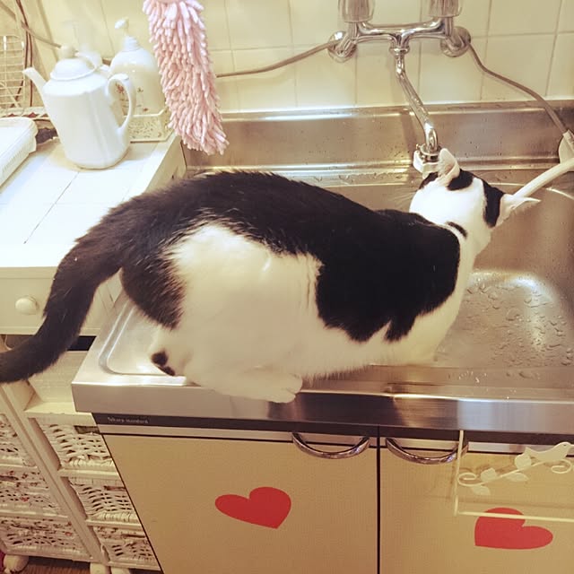fu-ka24さんの実例写真