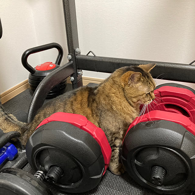 kirinsanさんの部屋