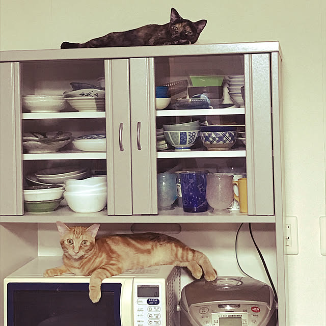 実例写真