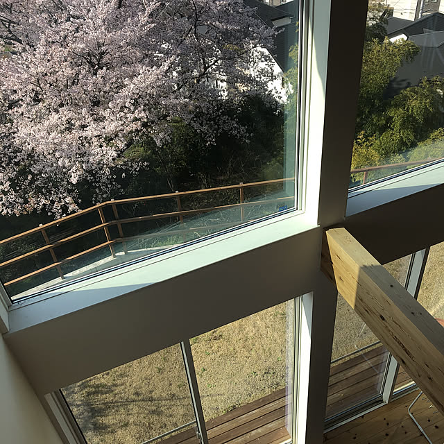 ma-misoさんの実例写真