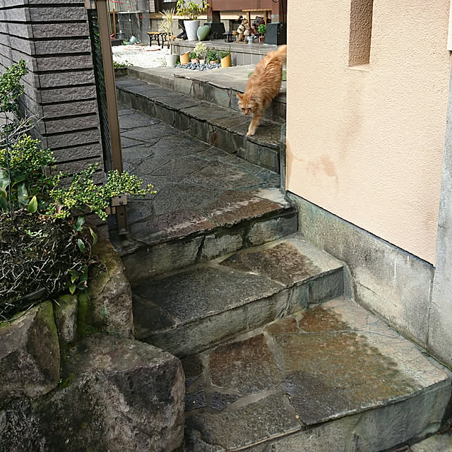 uchizukonyanさんの実例写真