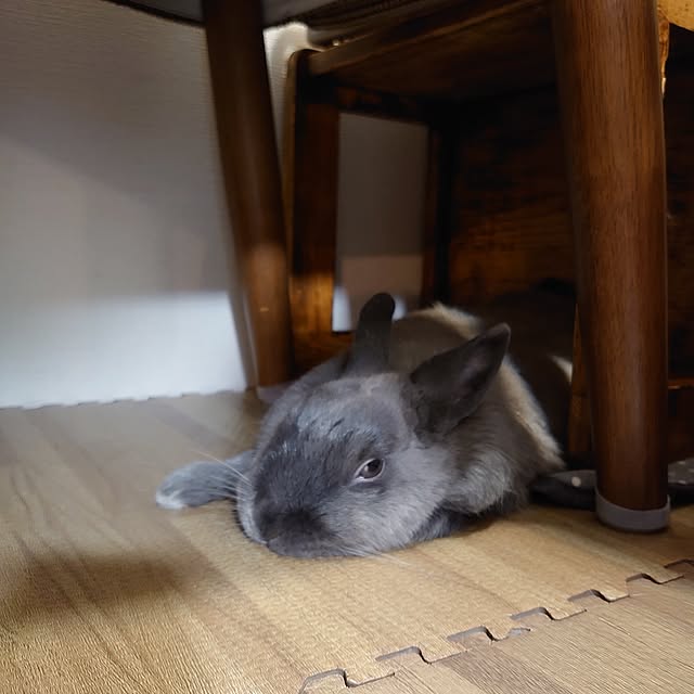 kirariさんの部屋