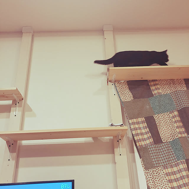 Makikoさんの実例写真