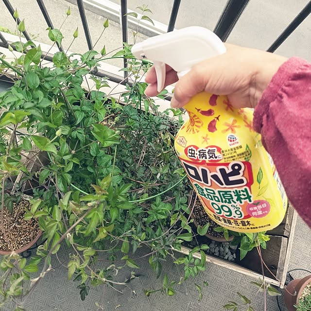 mi-saさんの部屋