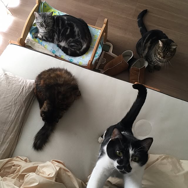 mikomaruさんの実例写真
