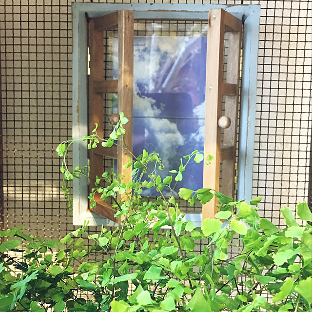 Sakura_hanaさんの実例写真