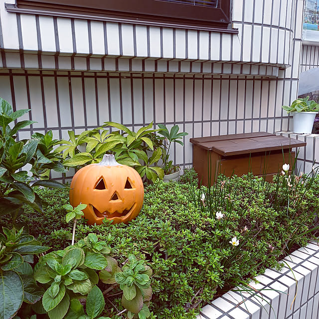 実例写真