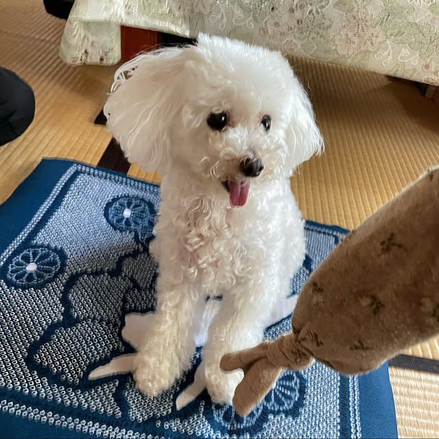 kakoさんの実例写真
