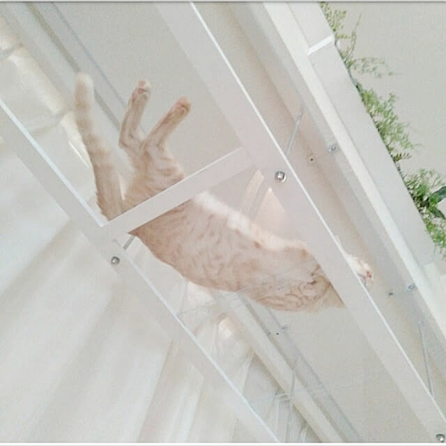 heart.emiemi57.whiteさんの実例写真