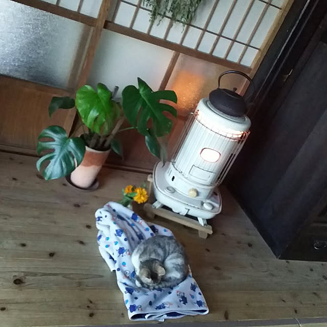ayu-ayuさんの実例写真