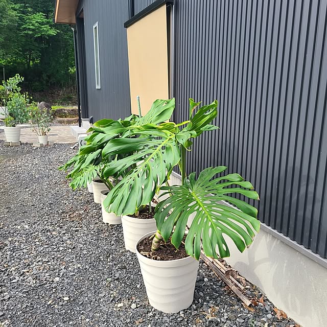 Rubiconさんの部屋