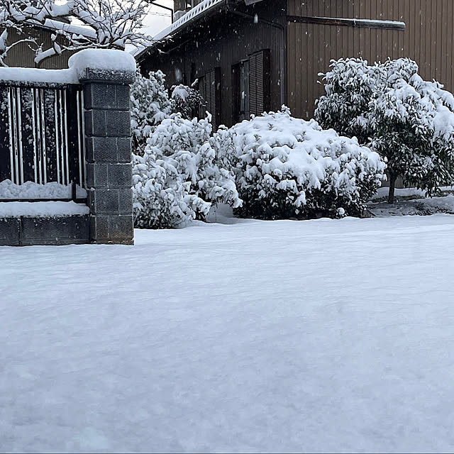 icemintさんの部屋