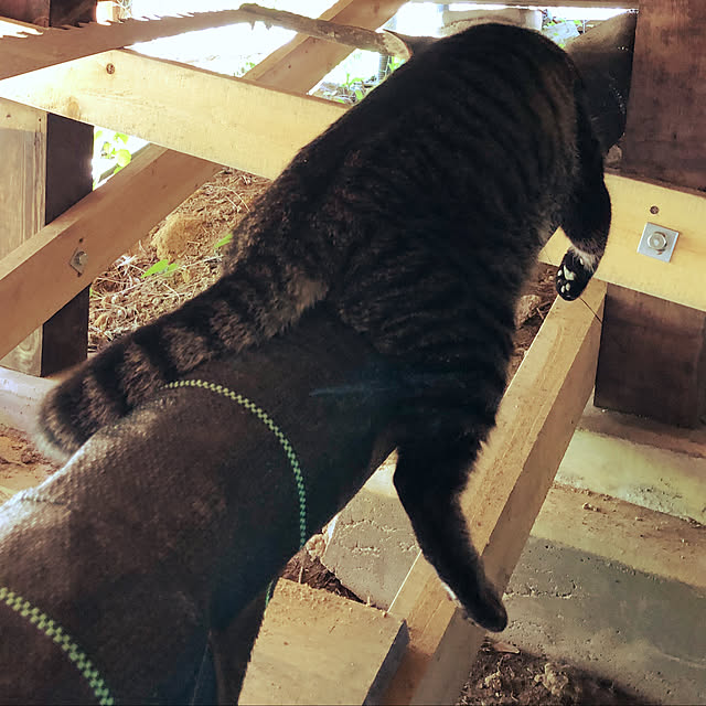 weさんの実例写真
