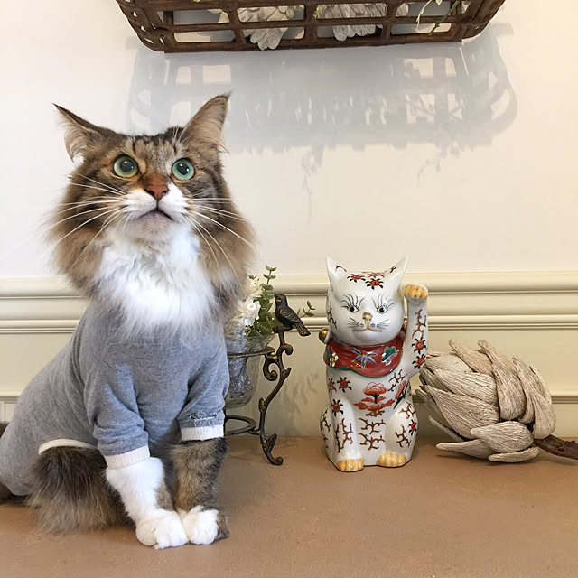 yuchiさんの実例写真