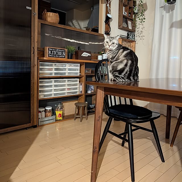 lovepeaceさんの実例写真