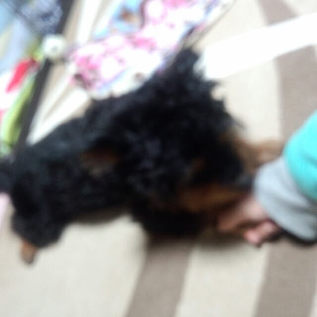 tkr.1225さんの実例写真