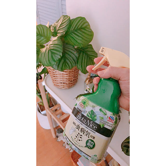 milkcocoaさんの実例写真