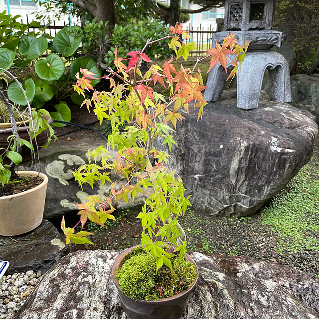 shin0719さんの実例写真